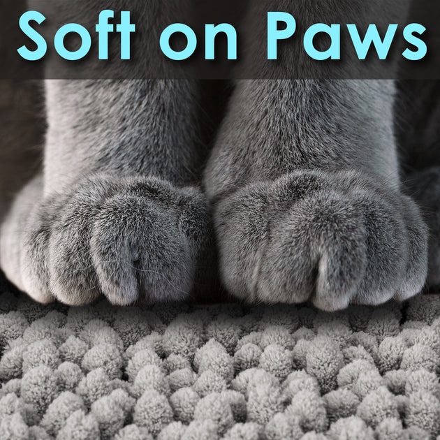 Cat Litter Mats – The Paws Corner