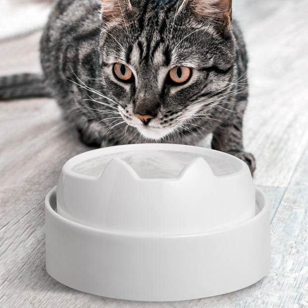 CatGuru Cat Food Mat, Small & Large Pet Food Mat, Waterproof Cat Mat for Food and Water, Silicone Pet Mat for Food, Non-Slip Pet Mats , Easy to Clean